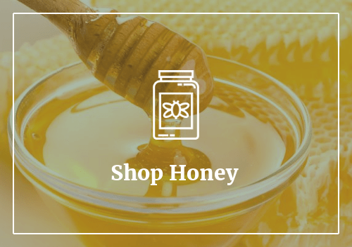 Honey 个人写真 纯黄情欲小说