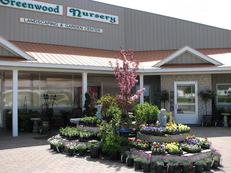 Greenwood Nursery Shopping in 阴蒂高潮, MN